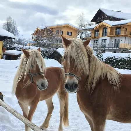 Werfenblick Werfenweng
