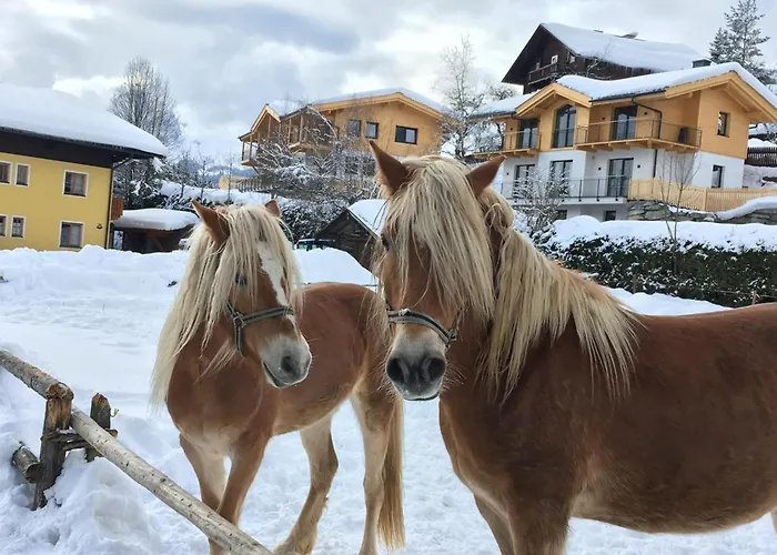 Werfenblick Werfenweng